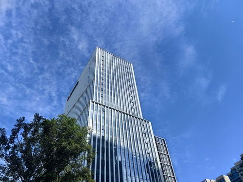 無機(jī)復(fù)合聚苯不燃保溫裝飾板50mm厚技術(shù)開發(fā)與應(yīng)用前景